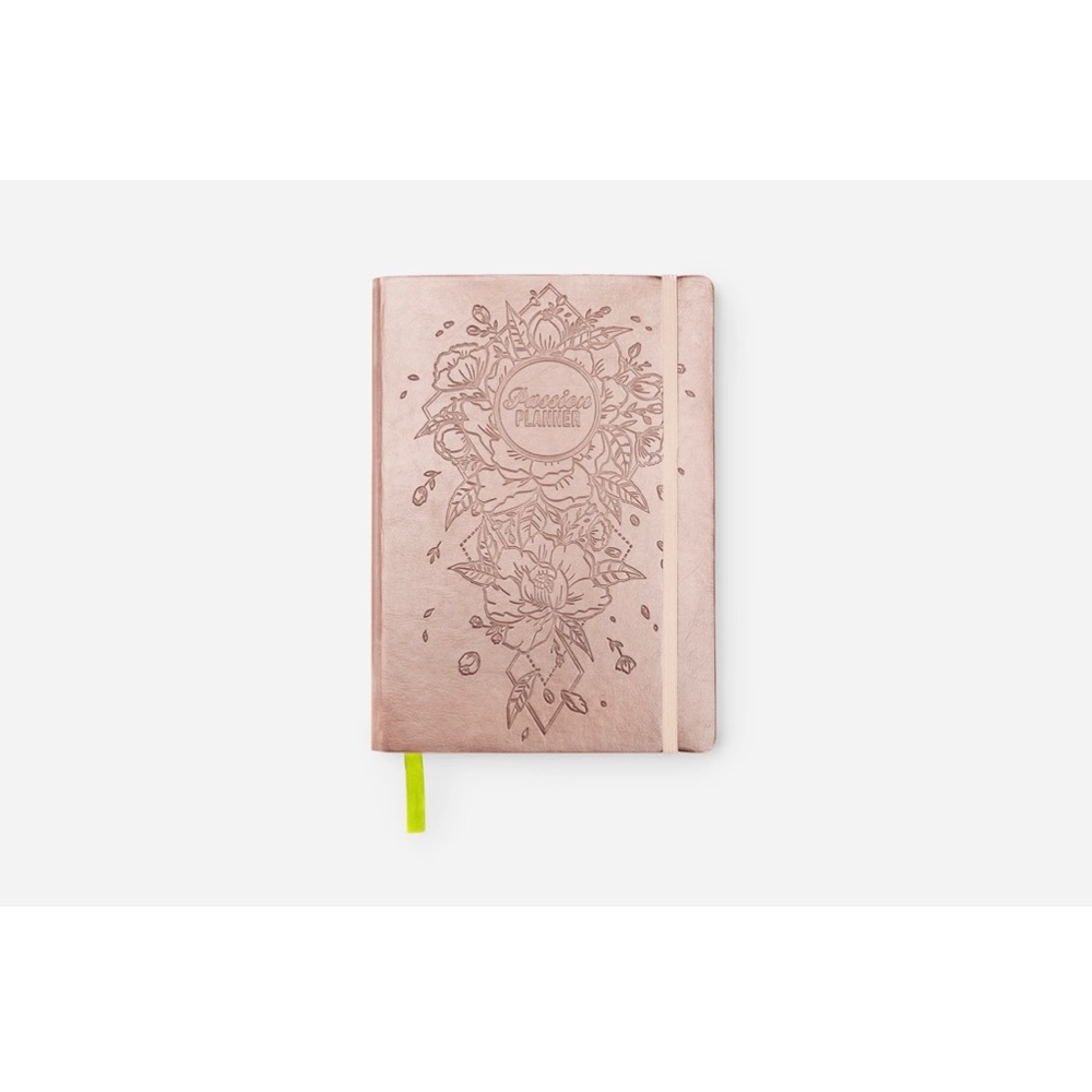Passion Planner Weekly 2021 Annual Rose Gold Medium New In Package - Picture 2 of 6